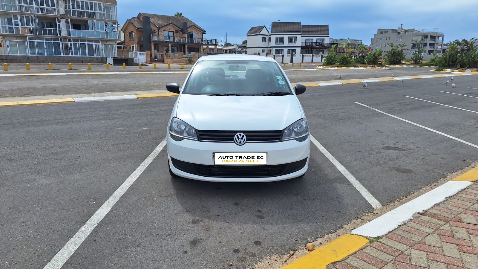 Polo 5